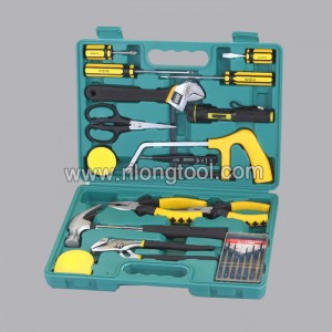 21pcs Hand Tool Set RL-TS024