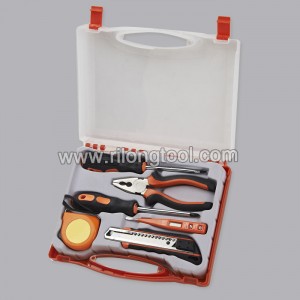 6pcs Hand Tool Set RL-TS027