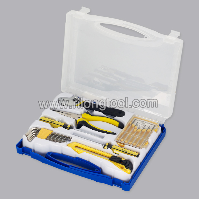 China supplier OEM 16pcs Hand Tool Set RL-TS030 for France Manufacturers